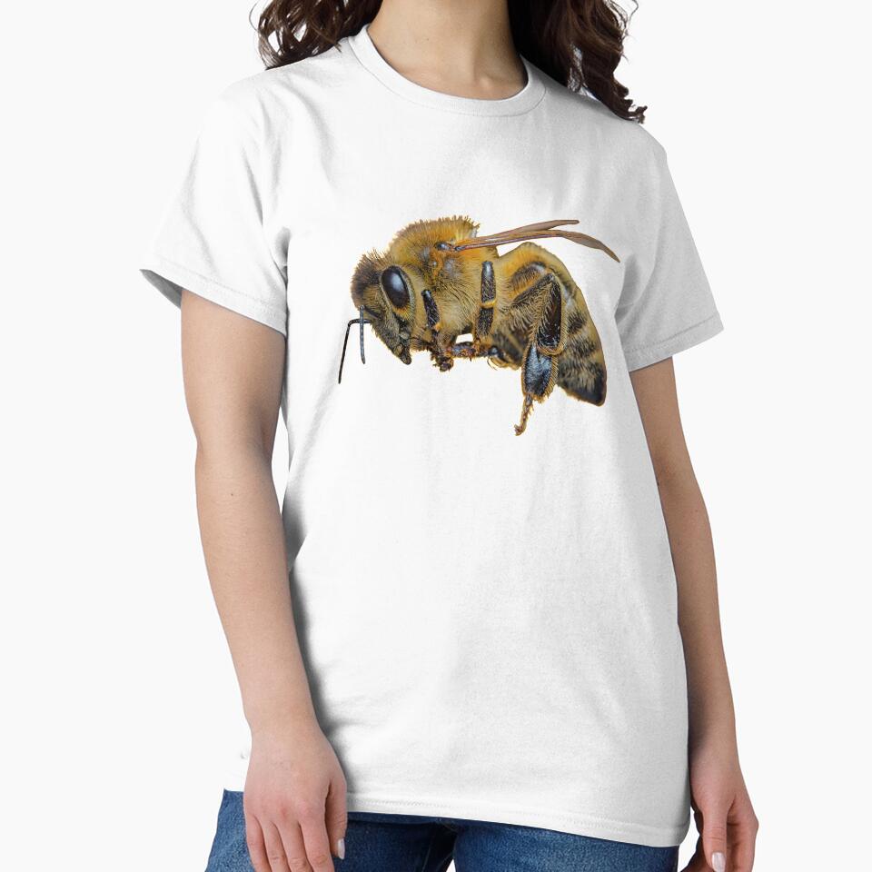 Bee Sticker by springerclipz