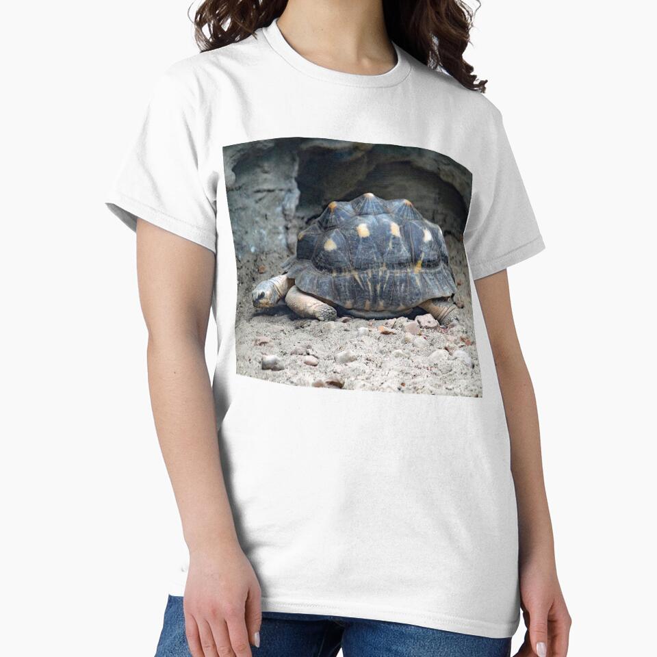 Radiated Tortoise by Strawflower Oasis
