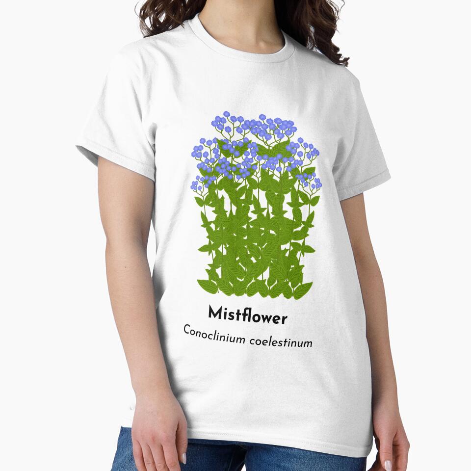 Mistflower (Conoclinium coelestinum) by Bittersweet Gardener