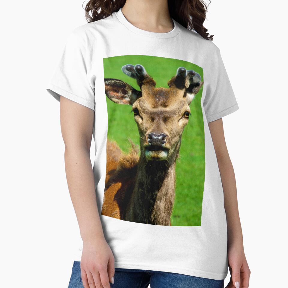 Fearless Deer by purelightimages