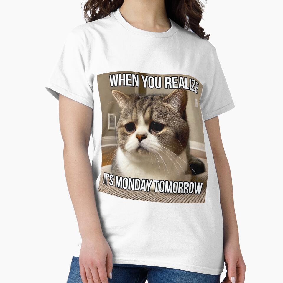 When You Realize It's Monday Tomorrow - Funny Pathetic Cat Meme by CatmemesArt