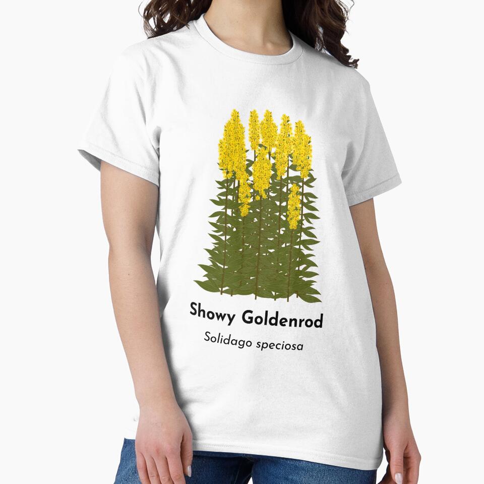 Showy Goldenrod (Solidago speciosa) by Bittersweet Gardener