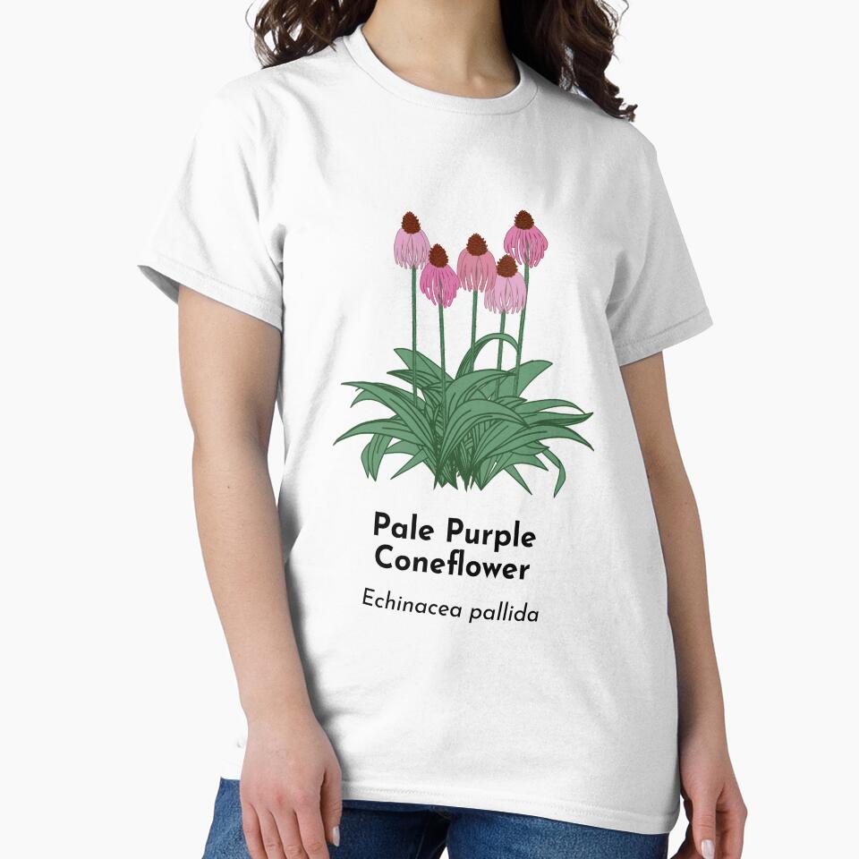 Pale Purple Coneflower (Echinacea pallida) by Bittersweet Gardener