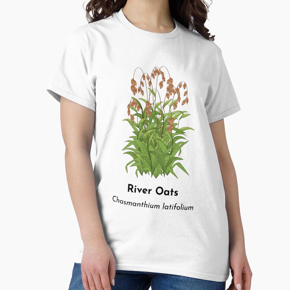 River Oats (Chasmanthium latifolium) by Bittersweet Gardener