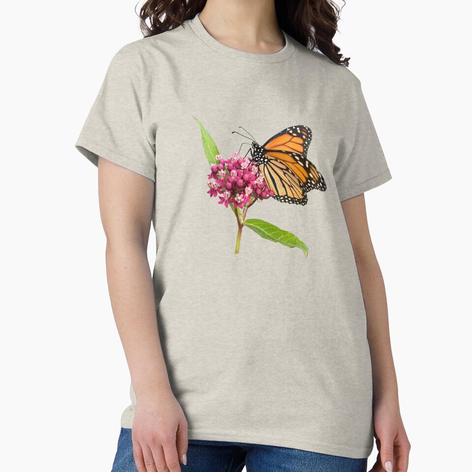 Monarch on Milkweed by DandelionDays