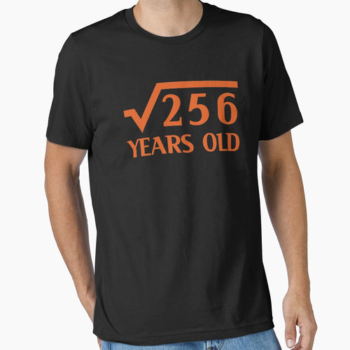 16th Happy Birthday Art 16 Years Old Square Root of 256 by melsens