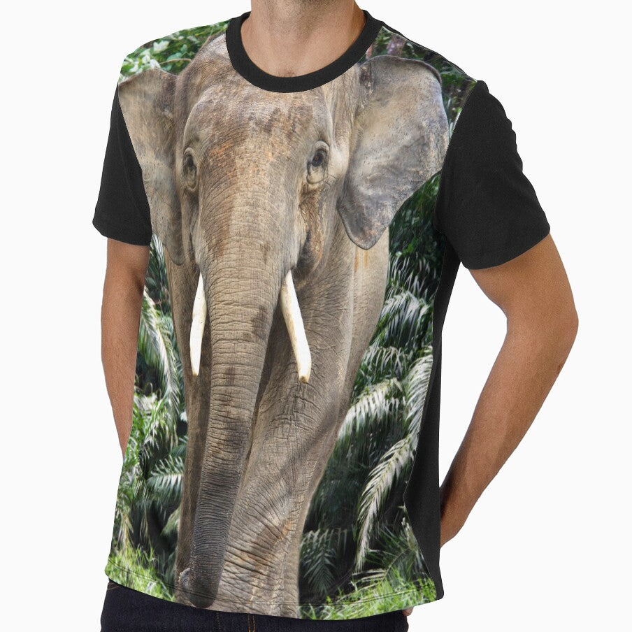 Male elephant by pawprintz