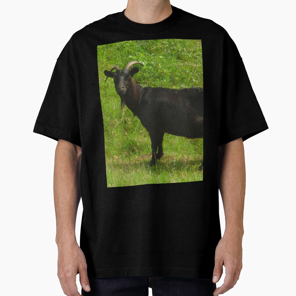Black goat - pygmy goat - funny goat by animal-animal