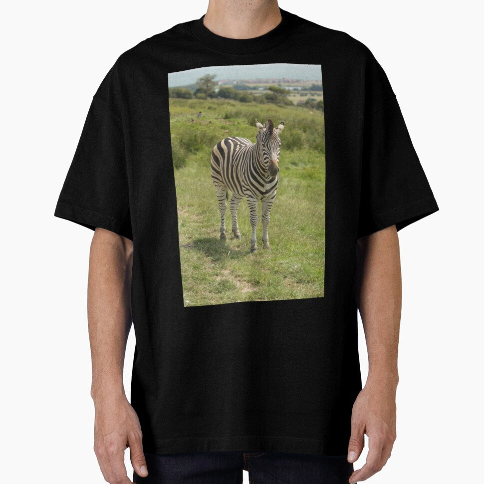 Zebra by Conservation Art Emporium