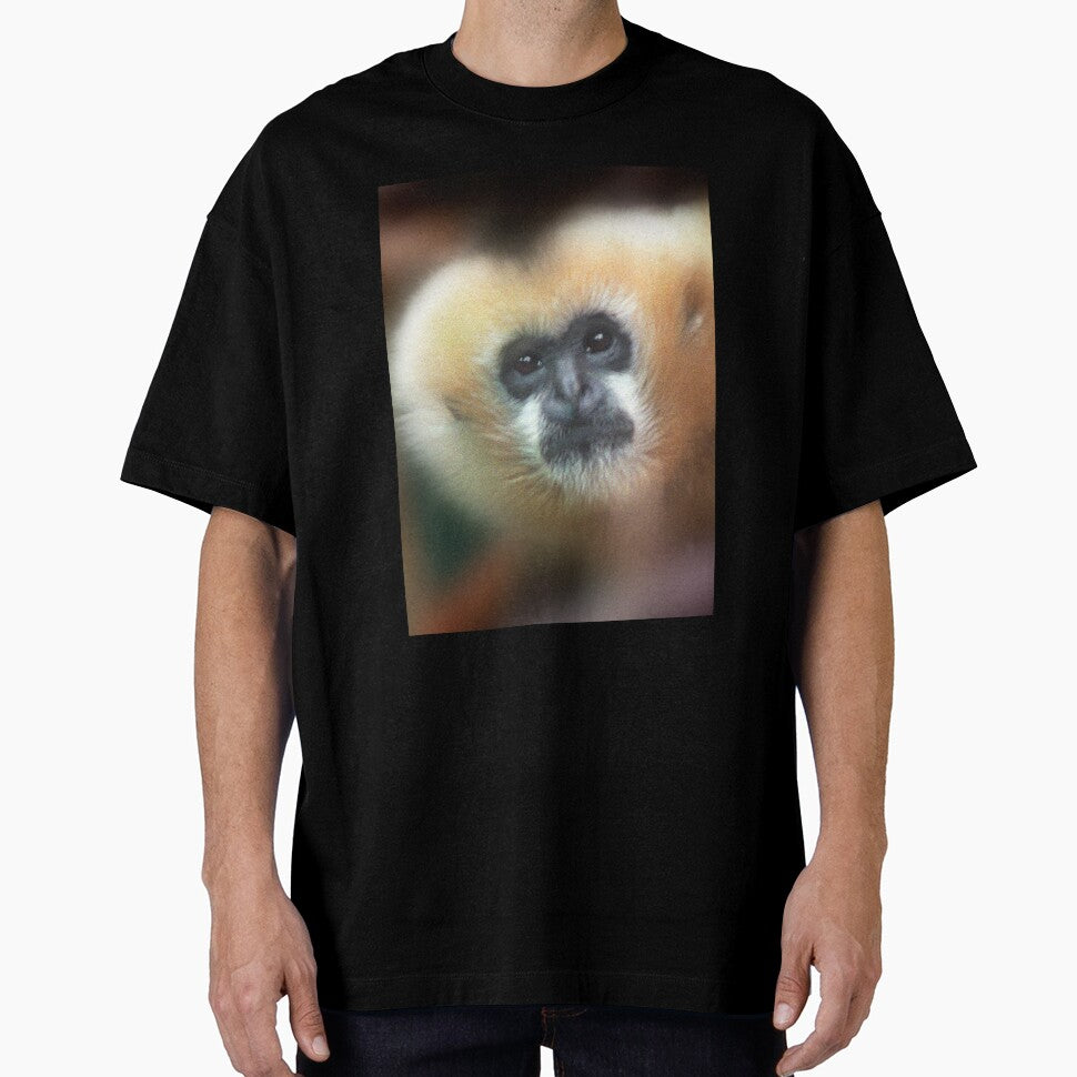 Gibbon ape staring at camera by dangerouslyclos