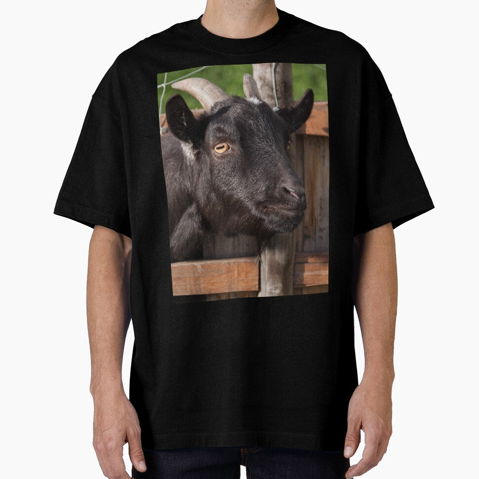 Funny goat - black goat by animal-animal