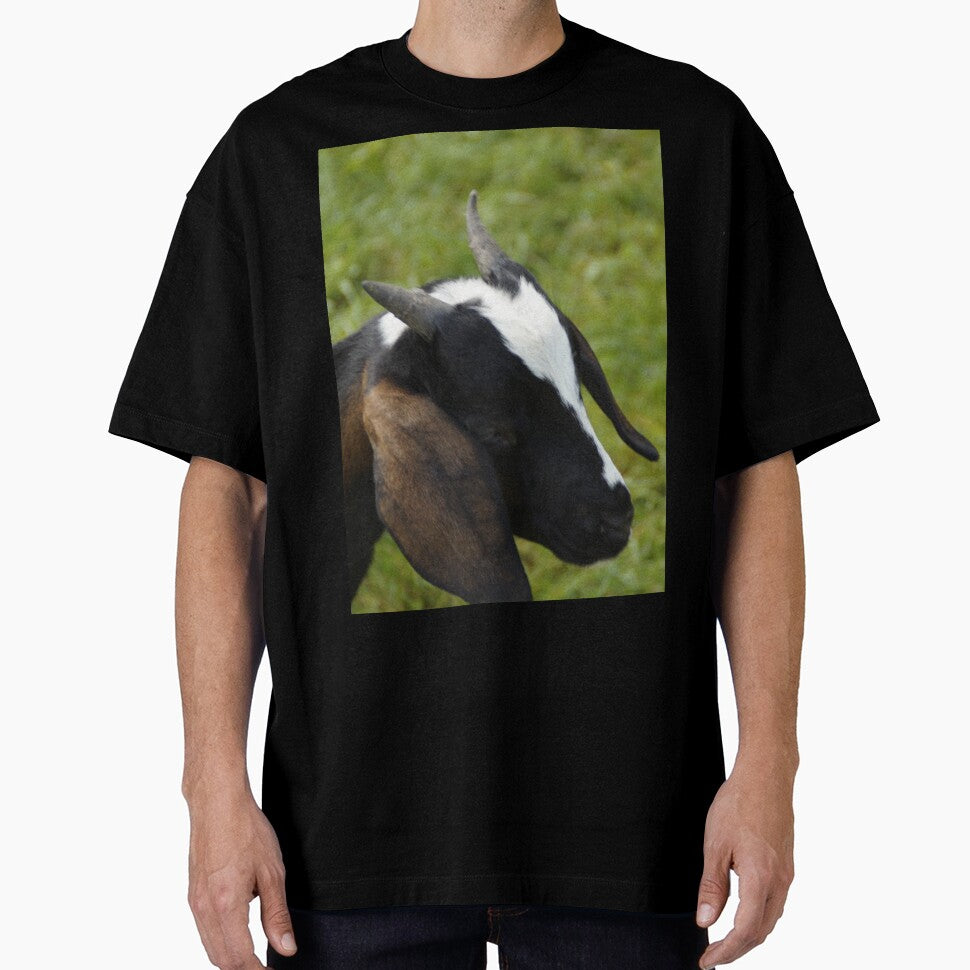 Goat farmer -  pygmy goat by animal-animal