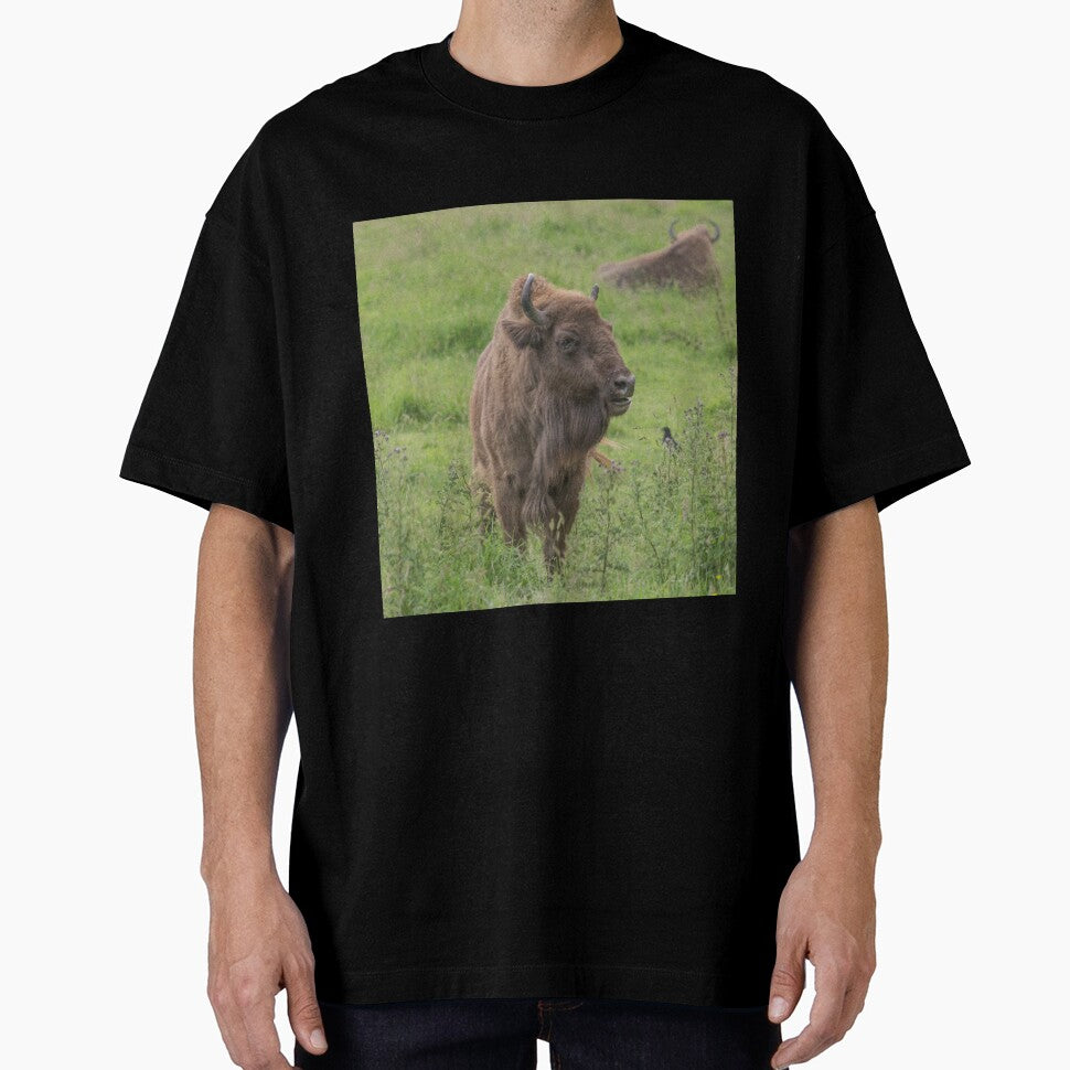 European Bison by Conservation Art Emporium