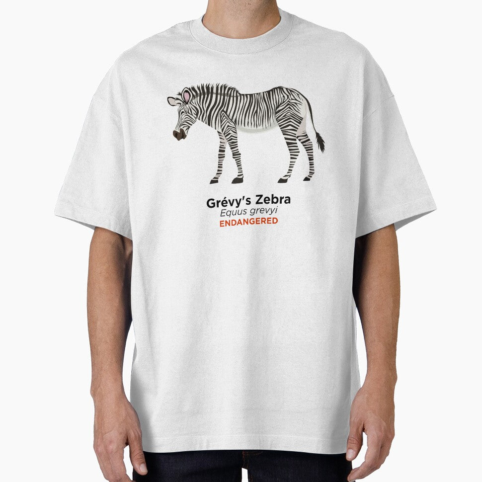 Grévy's Zebra by Peppermint Narwhal