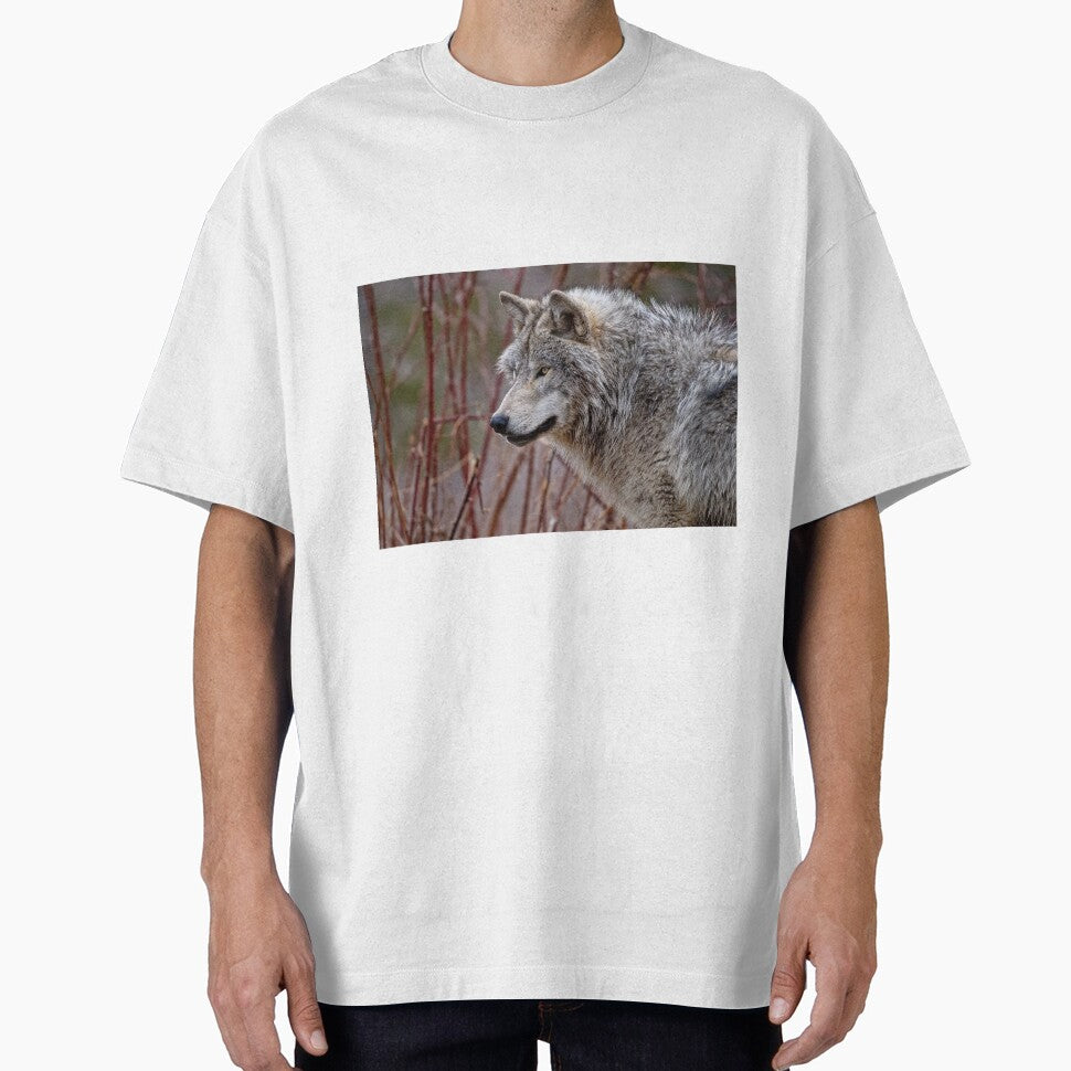Gray Wolf by Michael Cummings