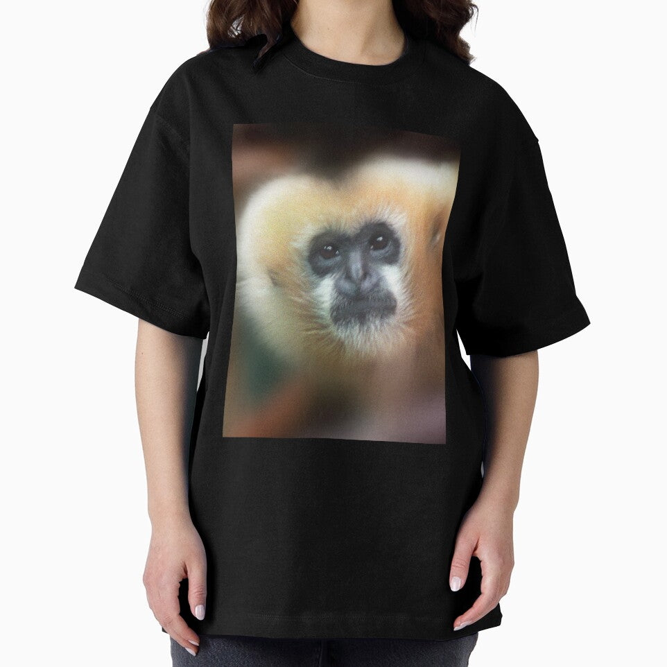 Gibbon ape staring at camera by dangerouslyclos