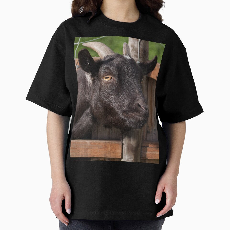 Funny goat - black goat by animal-animal