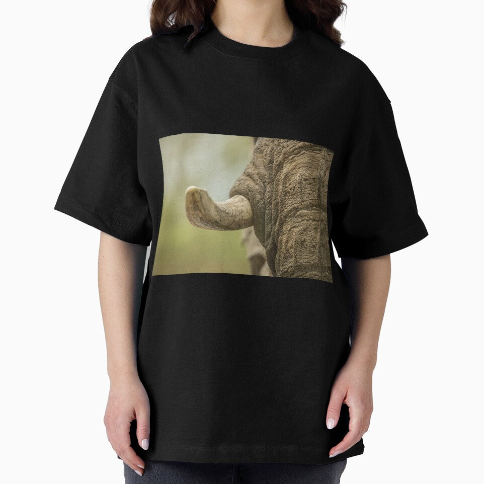 Elephant Tusk by Conservation Art Emporium