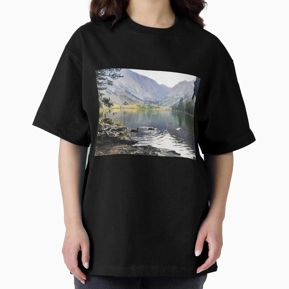 Mammoth Lake Scenery with Mountains and Ducks Floating in the Lake by Ilana Khoshsima