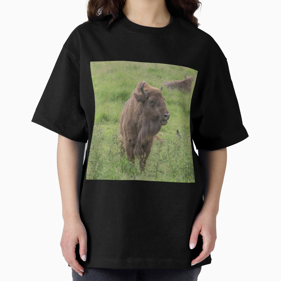 European Bison by Conservation Art Emporium
