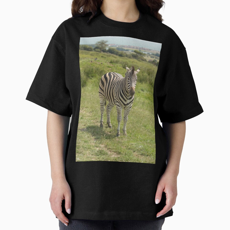 Zebra by Conservation Art Emporium