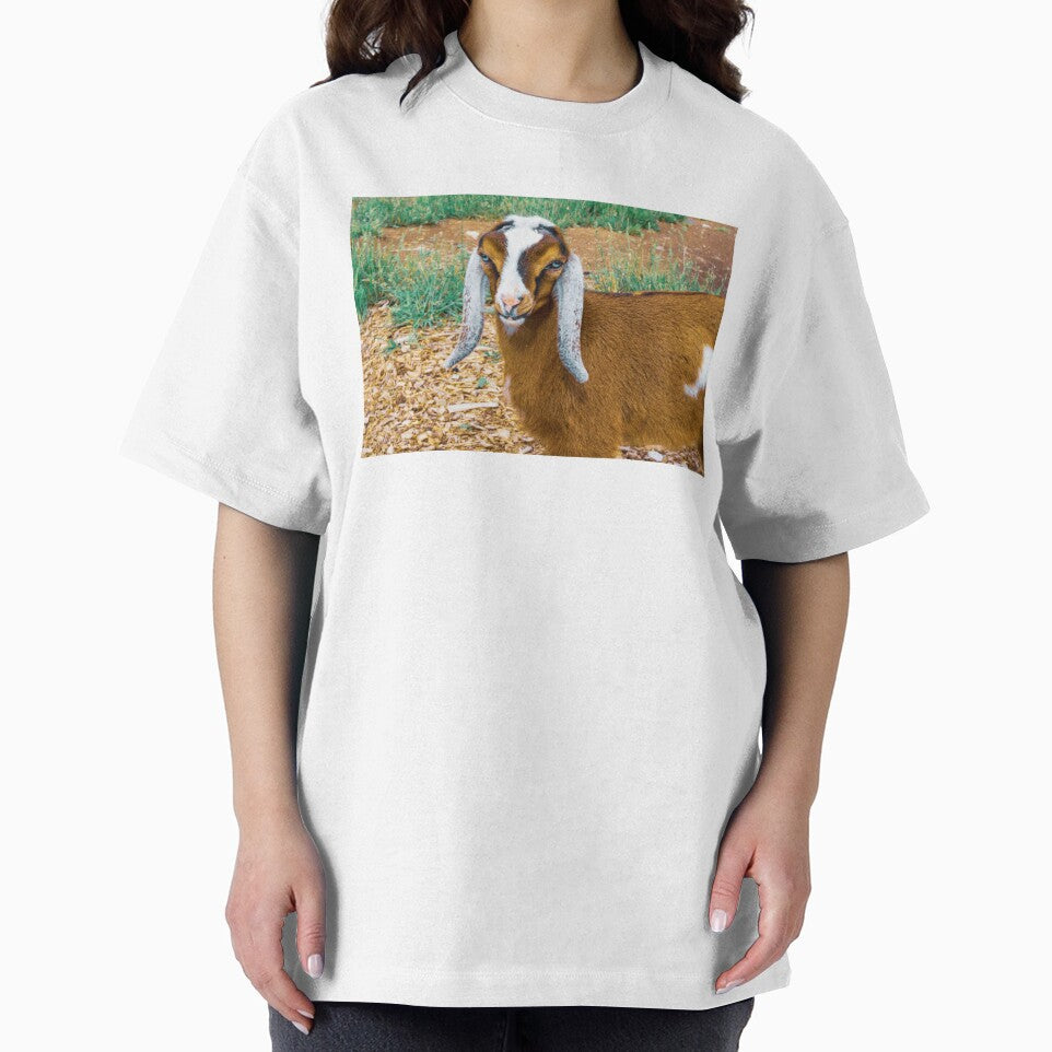 Young Anglo Nubian Goat by TheAnimalZ00