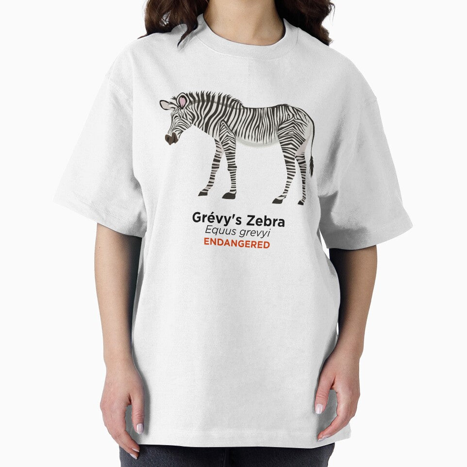 Grévy's Zebra by Peppermint Narwhal