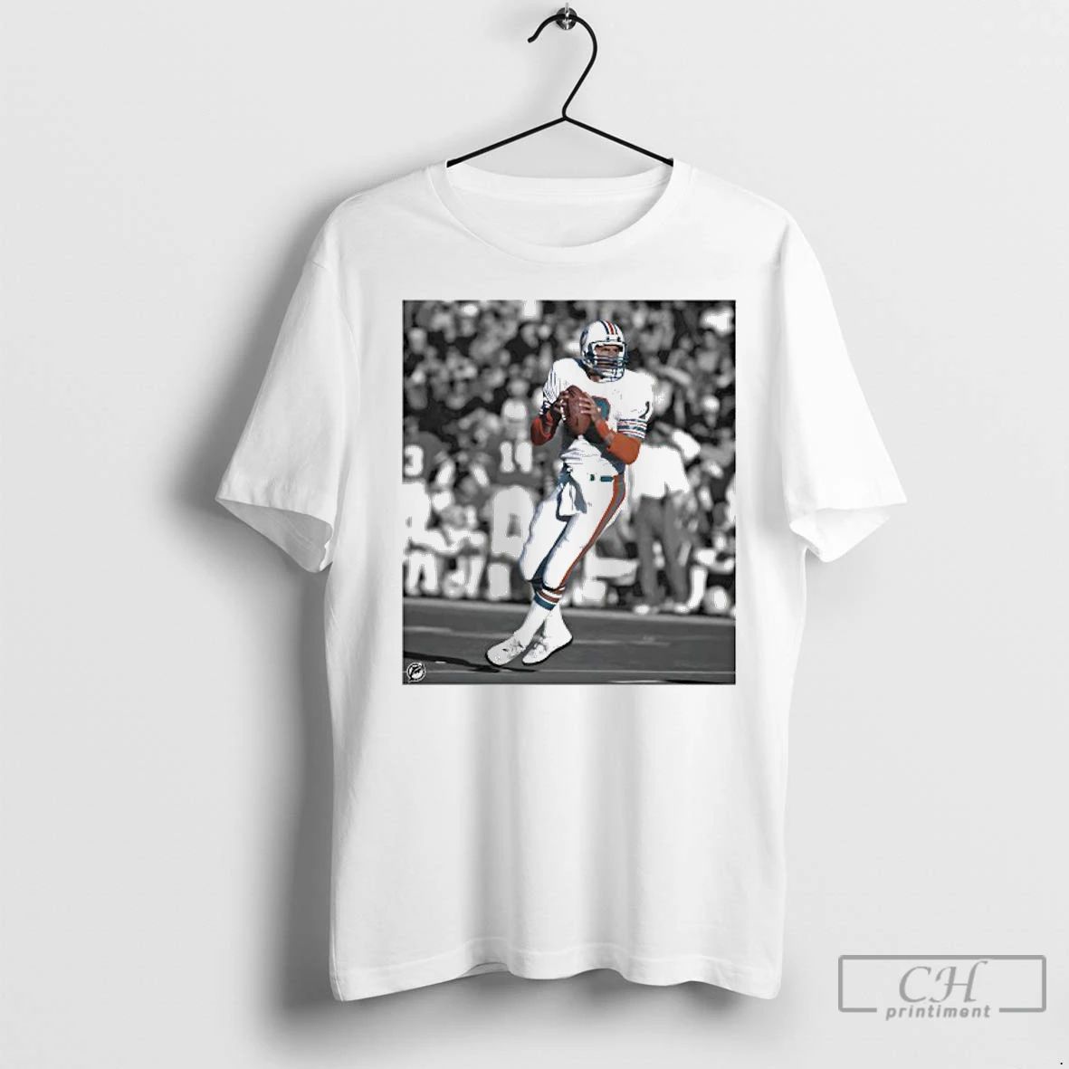Classic Dan Marino Miami Dolphins Football Photo