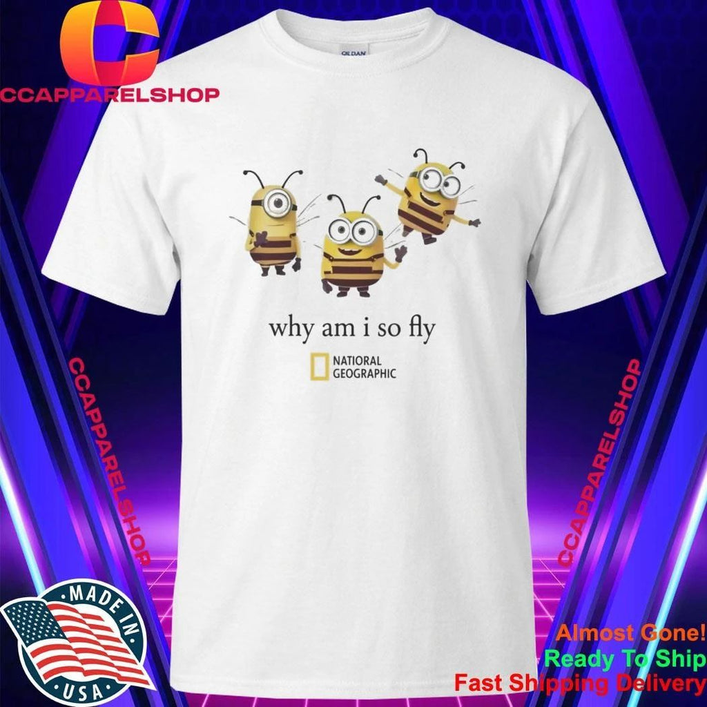 Why Am I So Fly Minion Bee Parody Graphic Shirt