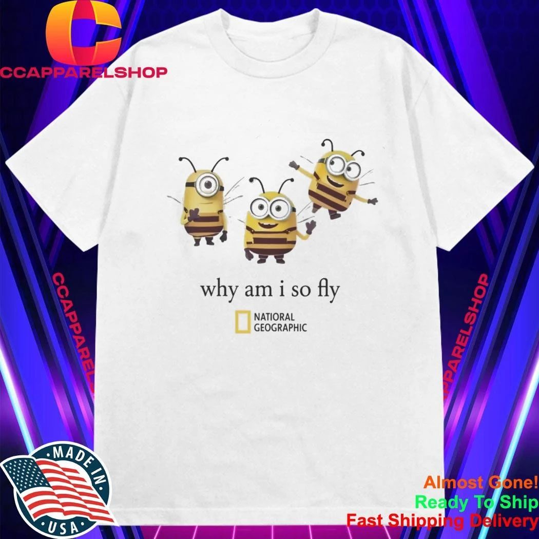 Why Am I So Fly Minion Bee Parody Graphic Shirt