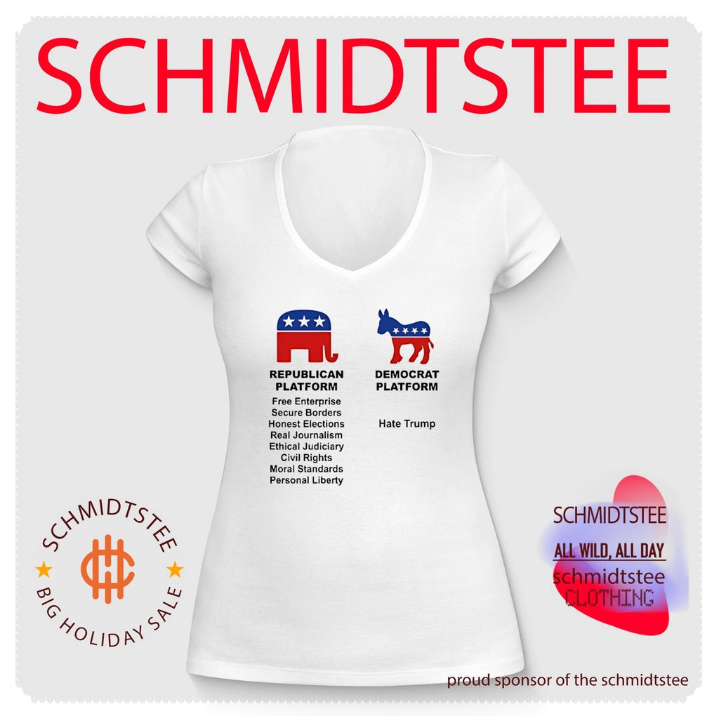 Republican platform and Democrat platform sgurt
