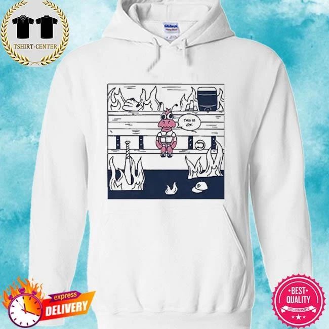 This Is Ok Funny Meme Shirt