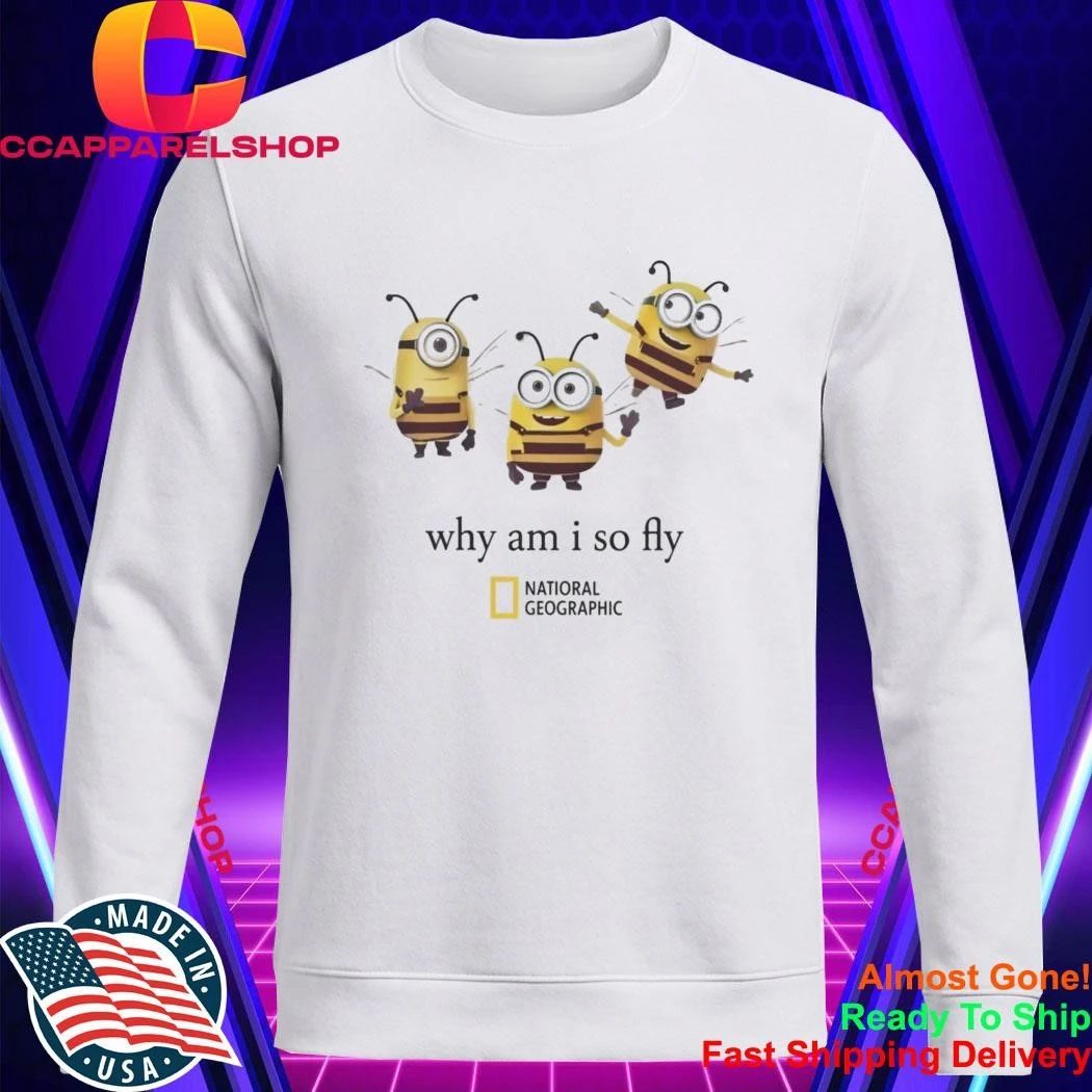 Why Am I So Fly Minion Bee Parody Graphic Shirt