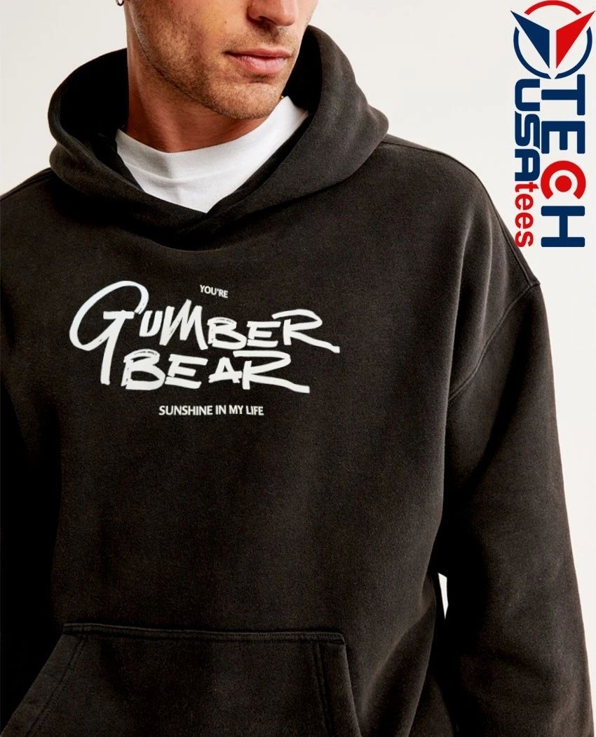 You’re Gumber Bear sunshine in my life shirt